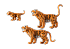 Игровой набор из серии Зоопарк: Семья Тигров  - миниатюра №1